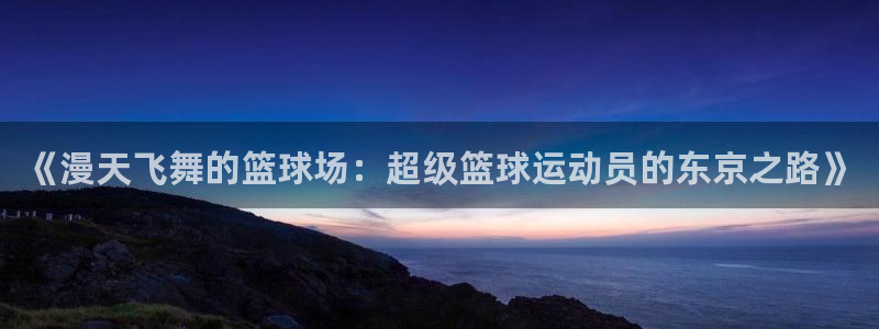 中欧五国联盟：《漫天飞舞的篮球场：超级篮球运动员的东京之路》