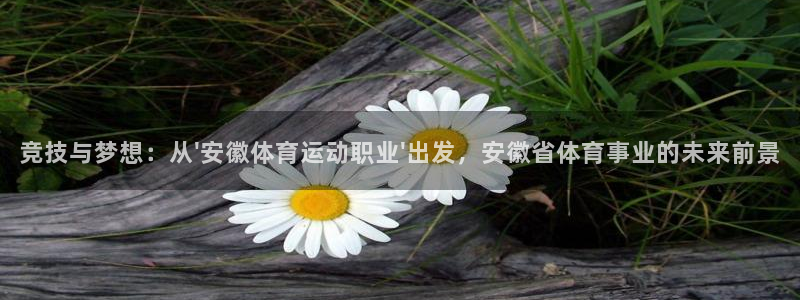 中欧平原面积：竞技与梦想：从\'安徽体育运动职业\'出发，安徽省体育事业的未来前景
