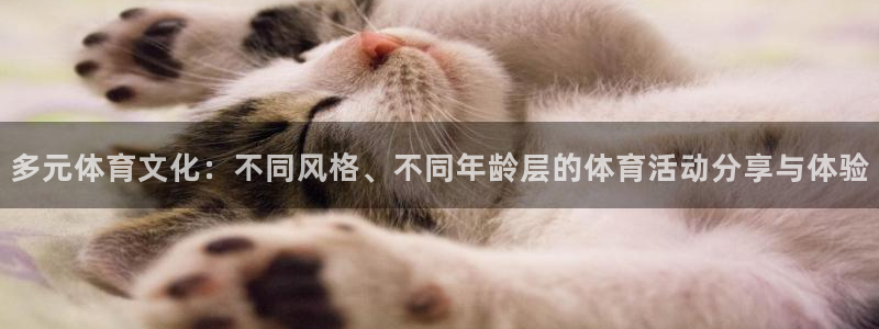 中欧amp班是什么班：多元体育文化：不同风格、不同年龄层的体育活动分享与体验