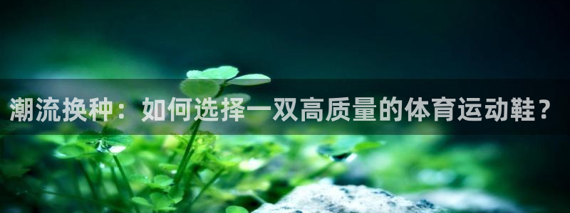 中欧合作：潮流换种：如何选择一双高质量的体育运动鞋？