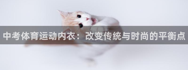 中欧班列：中考体育运动内衣：改变传统与时尚的平衡点