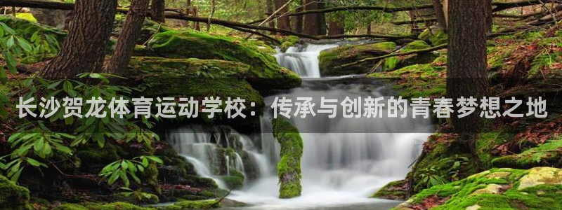 中欧农业：长沙贺龙体育运动学校：传承与创新的青春梦想之地