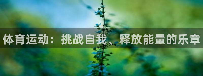中欧阿尔法混合c基金：体育运动：挑战自我、释放能量的乐章
