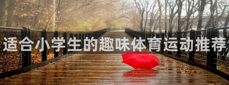中欧体育网页版：适合小学生的趣味体育运动推荐