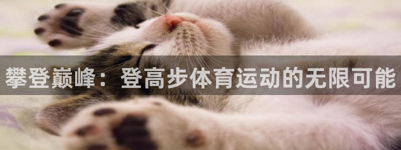 中欧医疗：攀登巅峰：登高步体育运动的无限可能