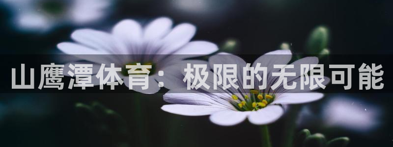 中欧关系定位：山鹰潭体育：极限的无限可能
