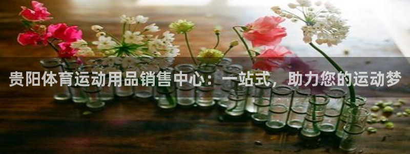 中欧平原：贵阳体育运动用品销售中心：一站式，助力您的运动梦