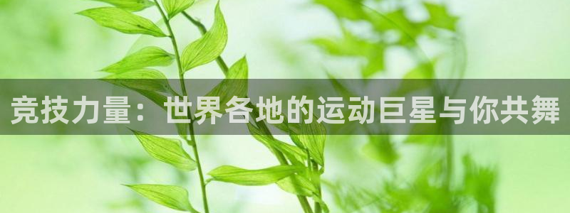 中欧都有哪些国家：竞技力量：世界各地的运动巨星与你共舞