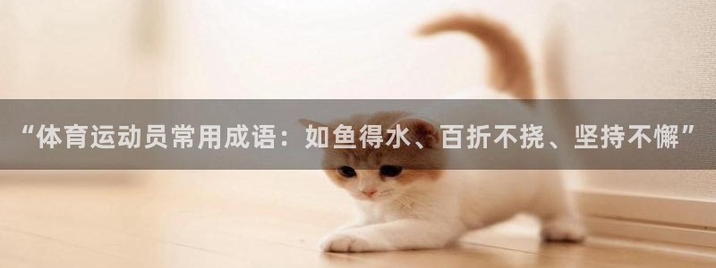 中欧新蓝筹：“体育运动员常用成语：如鱼得水、百折不挠、坚持不懈”